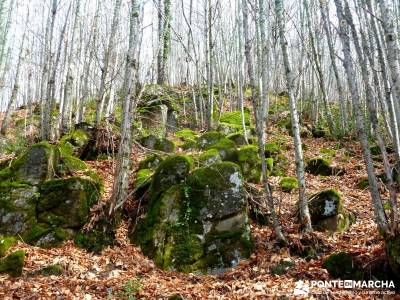 Sierra de Gata, Trevejo,Hoyos,Coria; bola del mundo hoces del duraton san mames